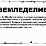 Основы земледелия – что это и как оно влияет на нашу жизнь