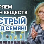 Как правильно развести перекись водорода для замачивания семян перед посадкой